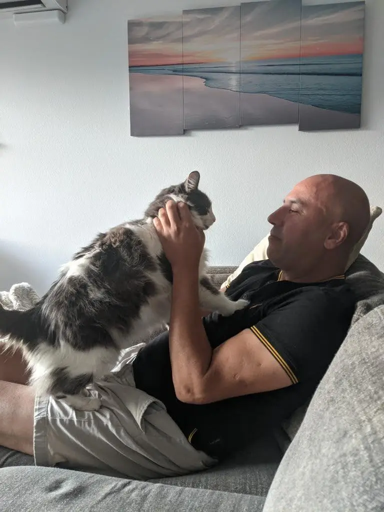 Playing with black and white cat