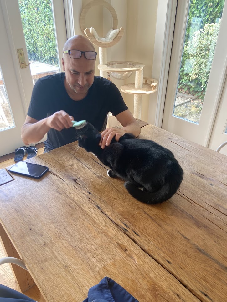 Rachid grooming black cat